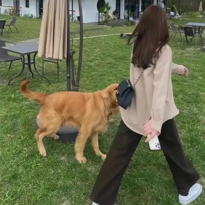 塔度斯先生